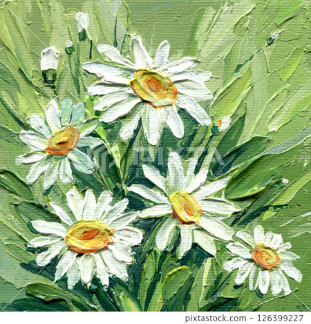 white daisies impasto painting green background textured brush strokes floral art thick acrylic summer flower artwork white daisies impasto painting green background textured brush strokes floral art thick acrylic summer flower artwork 126399227