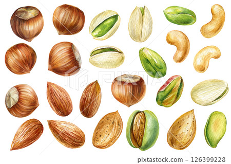 collection assorted watercolor nuts hazelnuts pistachios almonds cashews handpainted food illustrations on white clipart 126399228