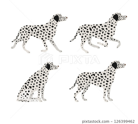 Vector set of flat hand drawn dalmatian dog 126399462