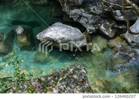 清澈的瀨戶川：初夏的清涼之感（高知縣土佐町瀨戶川溪谷） 126400207