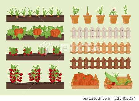 Cartoon Color Different Types Vegetable Planting Set Farm Concept Flat Design Style . Vector illustration of Fence and Box Cartoon Color Different Types Vegetable Planting Set Farm Concept Flat Design Style . Vector illustration of Fence and Box 126400254