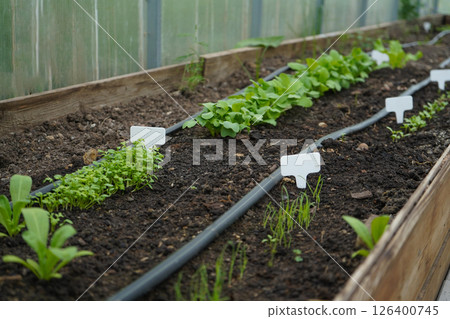 white empty sign next to the seedlings of plants on black soil side view 126400745