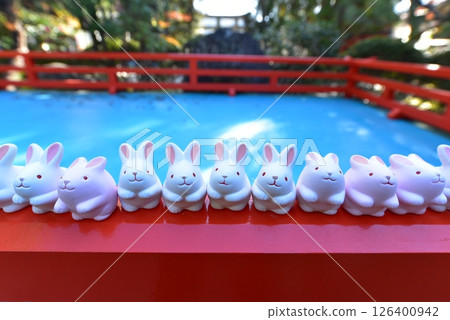 Okazaki Shrine's Rabbit Fortune 126400942