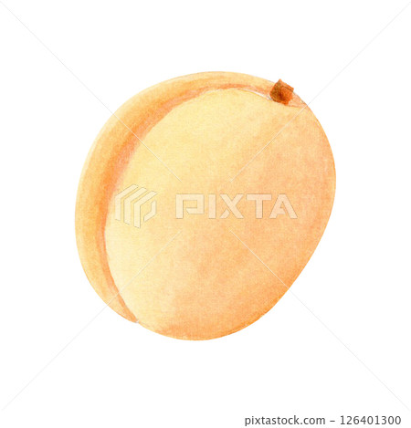 Whole ripe apricot watercolor illustration on a white background. Hand-painted fruit clip art perfect for packaging, culinary design, summer labels, garden branding, and organic product decoration 126401300
