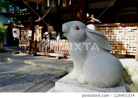 Rabbits at Okazaki Shrine 126401334