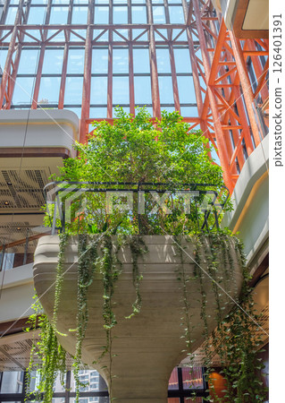 Green indoor landscape vertical garden 126401391