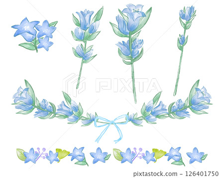 Gentian hand-drawn watercolor flower material set, Respect for the Aged Day 126401750