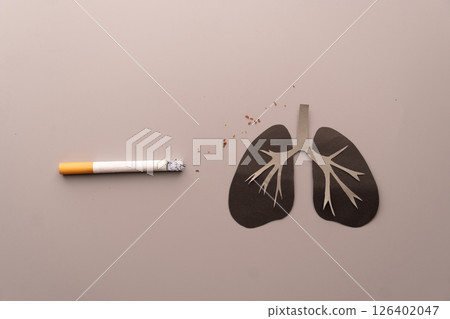 World no tobacco day concept. Unhealthy lung organ with cigarettes or tobacco on gray background. Lung diseases caused by smoking include COPD, asthma attack and lung cancer. 126402047