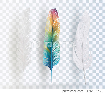 Old Feather After Feather Louse Vector Worn ink quill on transparent background 126402733