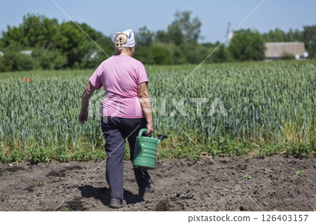 female farmer waters shoots of agricultural crops female farmer waters shoots of agricultural crops 126403157