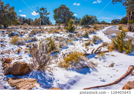 大峽谷國家公園雪景沙漠景觀 大峽谷國家公園雪景沙漠景觀 126403843