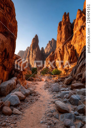 Red Rock Canyon Path at Sunrise 126404161