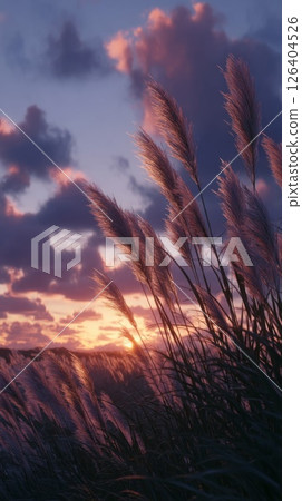 Sunset Landscape with Silhouetted Grass and Vibrant Sky 126404526