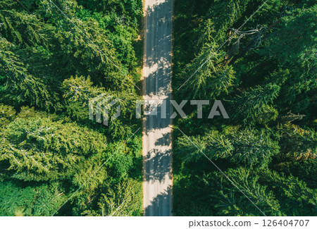 Aerial view of forest road weaving through lush green trees on a sunny day in rural countryside 126404707