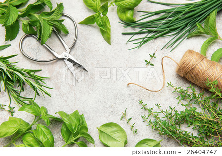 Fresh herbs frame with scissors and twine on gray background Fresh herbs frame with scissors and twine on gray background 126404747