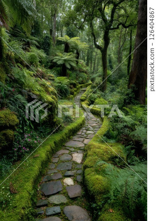 Winding Stone Path Through Lush Green Mossy Forest 126404867