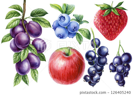 Berries set. Watercolor set summer fruits. Apple, strawberry, blueberry, plum, black currant with green leaves on white. 126405240