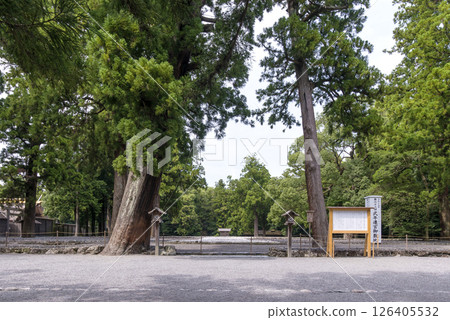 Shikinen Sengu grounds, 63rd Jingu Shikinen Sengu, scenery of Ise Jingu, grounds of Geku, Ise-Shima tourist attractions, traditional events Shikinen Sengu grounds, 63rd Jingu Shikinen Sengu, scenery of Ise Jingu, grounds of Geku, Ise-Shima tourist attractions, traditional events 126405532