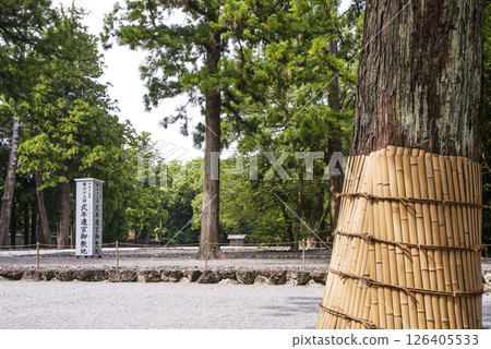 Shikinen Sengu grounds, 63rd Jingu Shikinen Sengu, scenery of Ise Jingu, grounds of Geku, Ise-Shima tourist attractions, traditional events 126405533