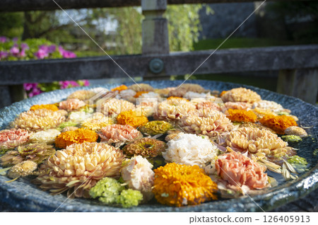 Gyoda Flower Water Purification 126405913