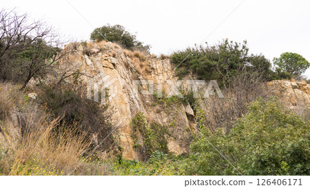 Rocky cliff with vegetation and sparse trees under cloudy sky Rocky cliff with vegetation and sparse trees under cloudy sky 126406171