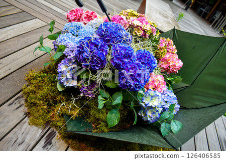 風景與繡球花 風景與繡球花 126406585