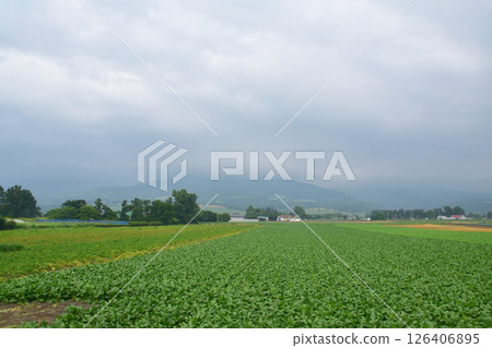 JR北海道室蘭本線北船岡站至東室蘭站的本地火車車窗景色（2023年夏季多雲） 126406895