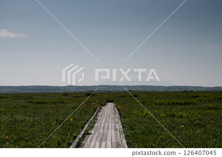A boardwalk through the marshland overlooking the misty Rishiri Fuji 126407045