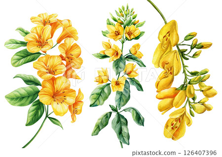 Watercolor bouquet bright yellow flowers with green leaves. Hand painted floral botanical set spring and summer decor. Watercolor bouquet bright yellow flowers with green leaves. Hand painted floral botanical set spring and summer decor. 126407396
