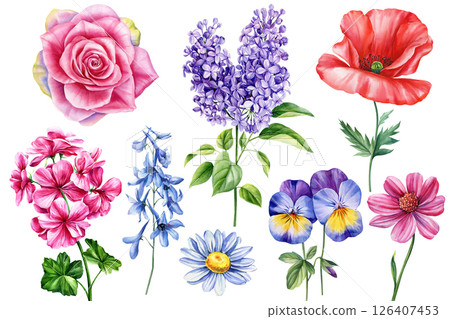 Flora art Watercolor set blooming flowers including rose, lilac, poppy, pansy, daisy. Bright botanical collection plants 126407453