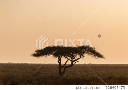 Sunrise over the Serengeti Sunrise over the Serengeti 126407475