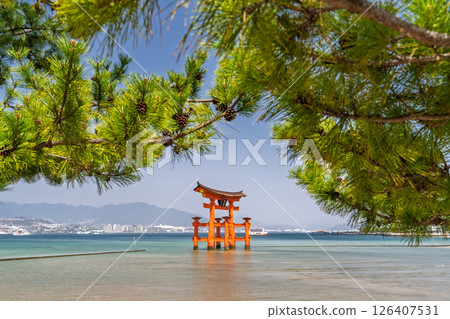 <廣島縣>宮島嚴島神社、大鳥居 126407531