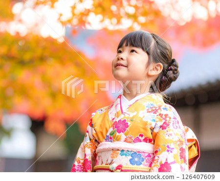 Shichigosan Autumn 126407609