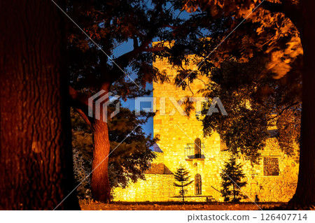 Belgrade fortress Kalemegdan illuminating night sky through trees 126407714
