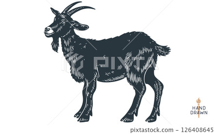 Goat. Vintage retro print, black white goat drawing, sketch ink pencil draw, engrave old school style. Sketch artwork silhouette goat with horns. Side view profile goat. Vector Illustration Goat. Vintage retro print, black white goat drawing, sketch ink pencil draw, engrave old school style. Sketch artwork silhouette goat with horns. Side view profile goat. Vector Illustration 126408645