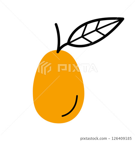 Whole kumquat with twig and leaf. Hand drawn sketch icon of citrus fruit. Isolated vector illustration in doodle line style. Whole kumquat with twig and leaf. Hand drawn sketch icon of citrus fruit. Isolated vector illustration in doodle line style. 126409185