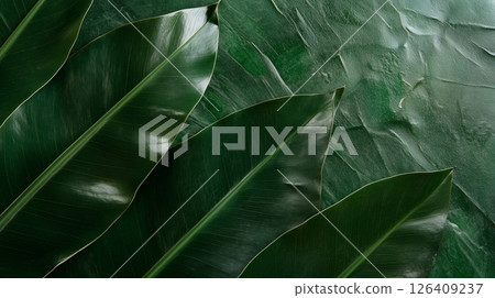 leaf texture. grean leaf texture background 126409237