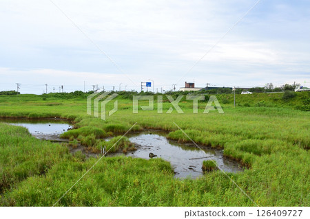 JR北海道日高本線苫小牧站至穆川站的風景（2023年夏季多雲） 126409727
