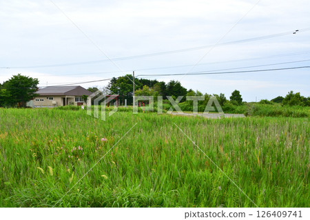 JR北海道日高本線苫小牧站至穆川站的風景（2023年夏季多雲） 126409741