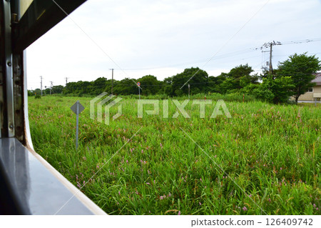 Scenery from Tomakomai Station to Mukawa Station on the JR Hokkaido Hidaka Main Line (cloudy in summer 2023) 126409742