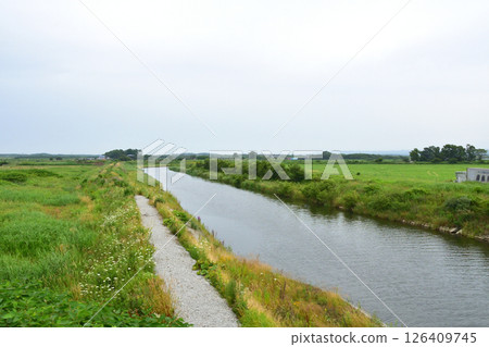 Scenery from Tomakomai Station to Mukawa Station on the JR Hokkaido Hidaka Main Line (cloudy in summer 2023) 126409745