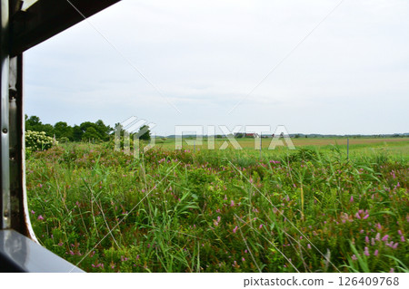 JR北海道日高本線苫小牧站至穆川站的風景（2023年夏季多雲） 126409768