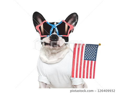 Charming puppy, sunglasses and American Flag. Studio shot 126409932