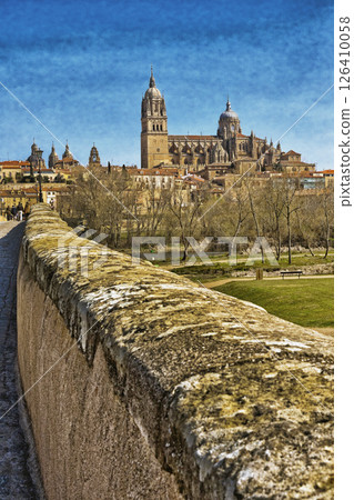 New Cathedral of Salamanca, Salamanca, Spain 126410058