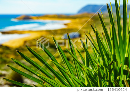 Sea shore, coast landscape in Spain. 126410624