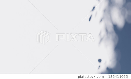 shadow overlay wall texture sunlight leaf shade abstract 3d render. shadows light nature plant leaves branch tree foliage design backdrop. wallpaper mockup background white effect minimal natural. 126411033