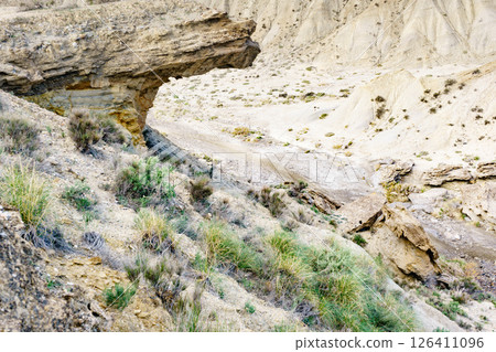 Tabernas desert landscape, Spain 126411096
