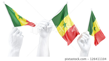 Hand holding flag of Senegal. Isolated 3d Rendering 126411104