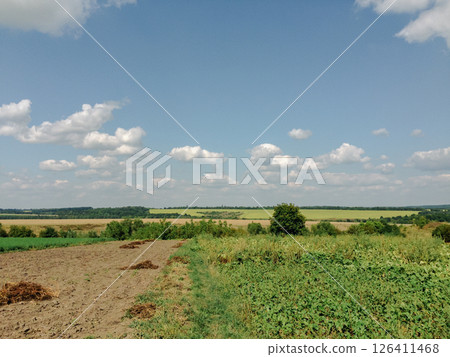 Field with a few trees and a cloudy sky 126411468
