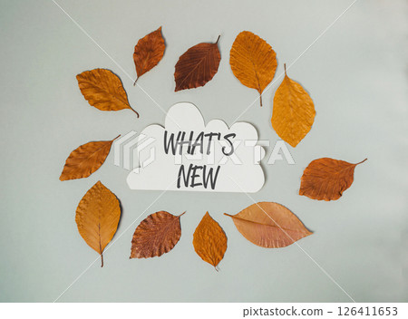 White cloud with the word What's New written in black White cloud with the word What's New written in black 126411653